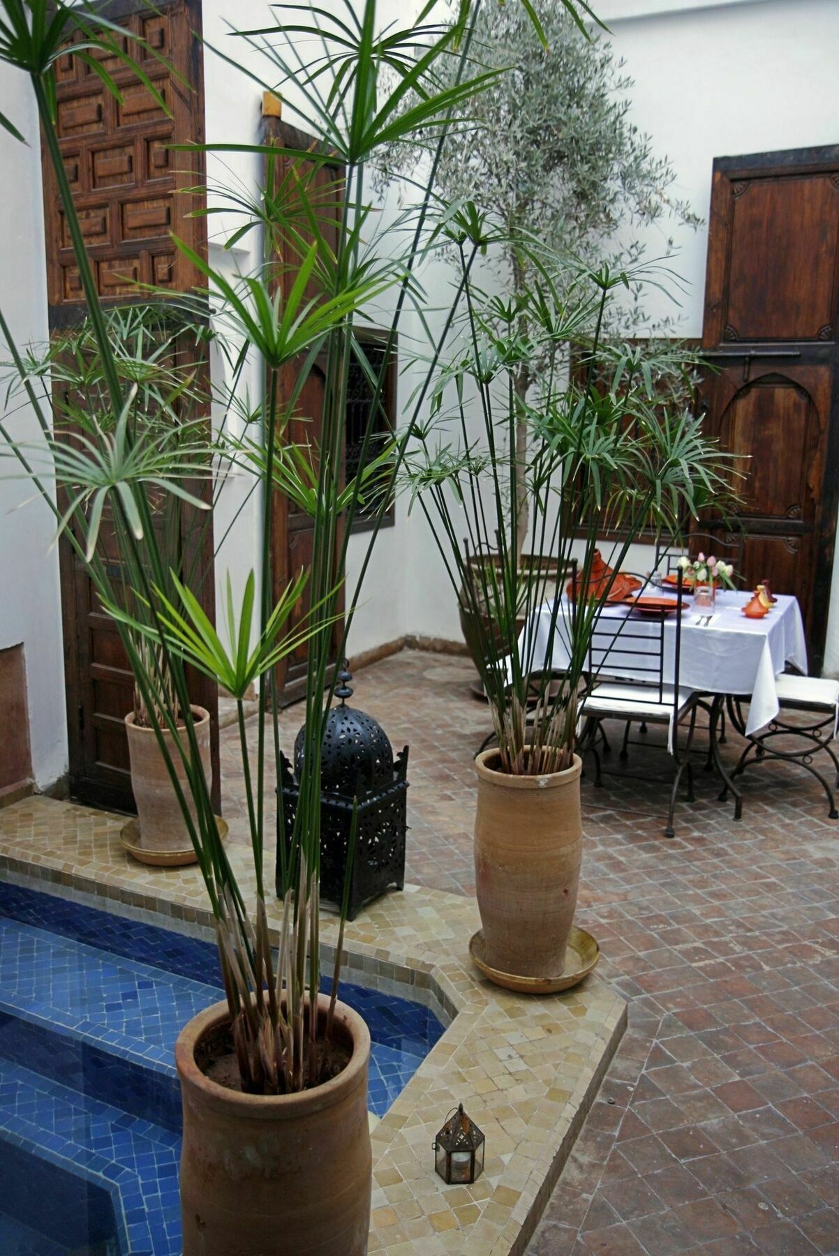 Riad Elixir Marrakesch Exterior foto